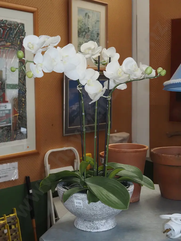 faux plastic orchids H550 Image 1++