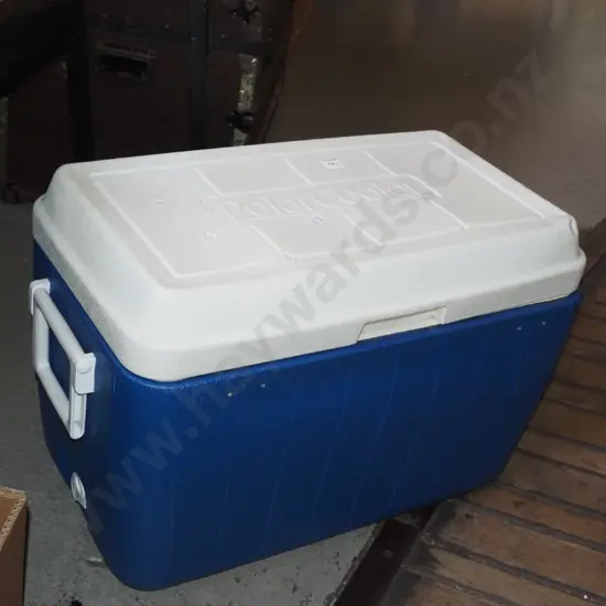 Polar Cooler chilly bin, ice packs