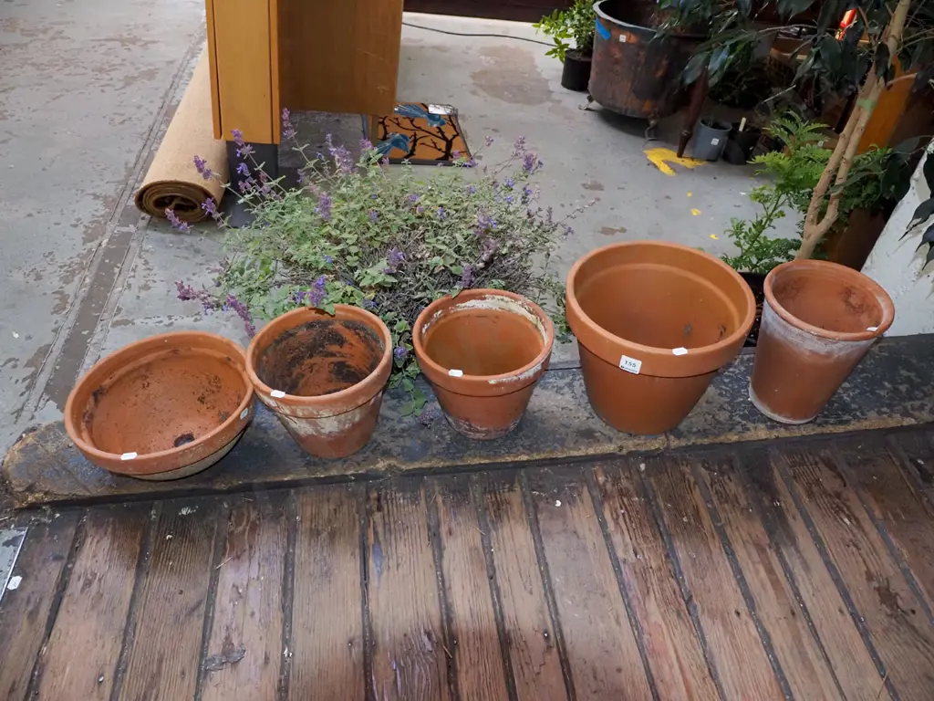 5x terracotta planters Tallest H220 Image 1++
