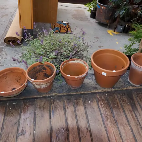 5x terracotta planters Tallest H220