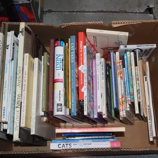 box; cat related books