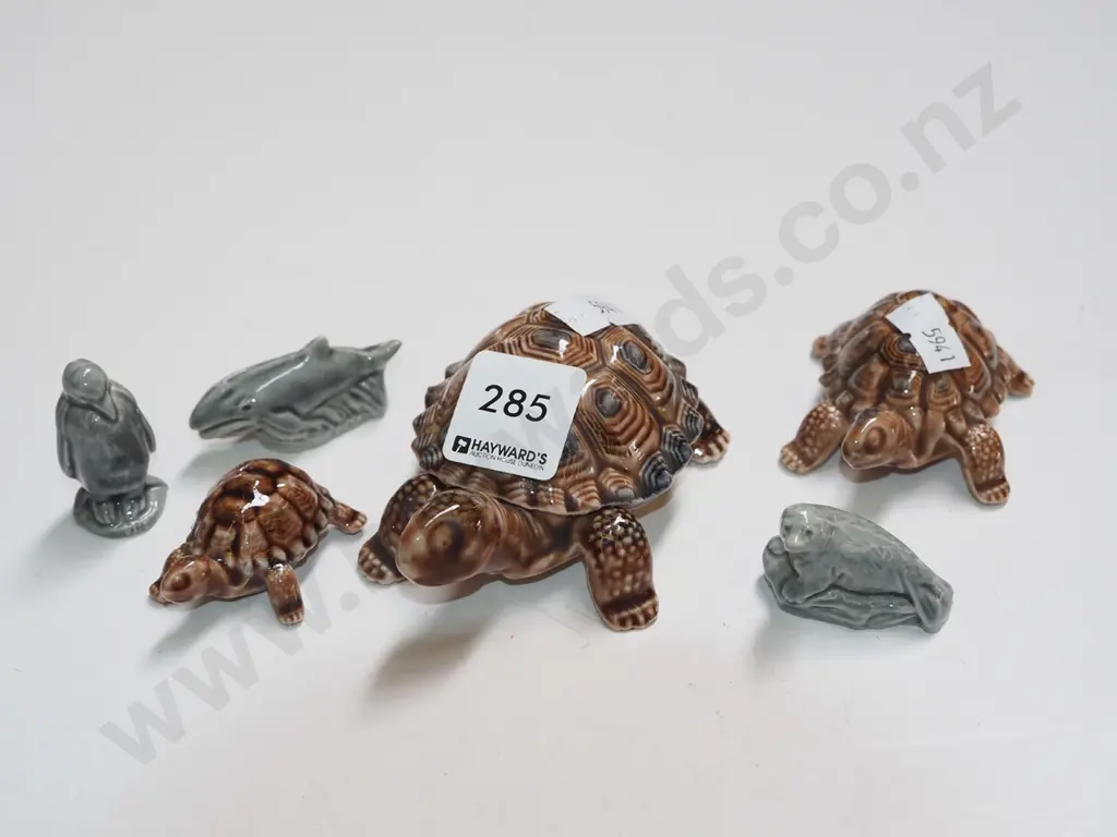 Wade turtles, penguins, whale, seal Image 1++