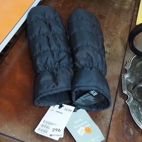 pair of snow mittens