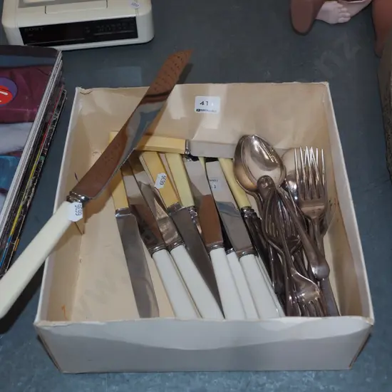 box; bone handled knives, cutlery