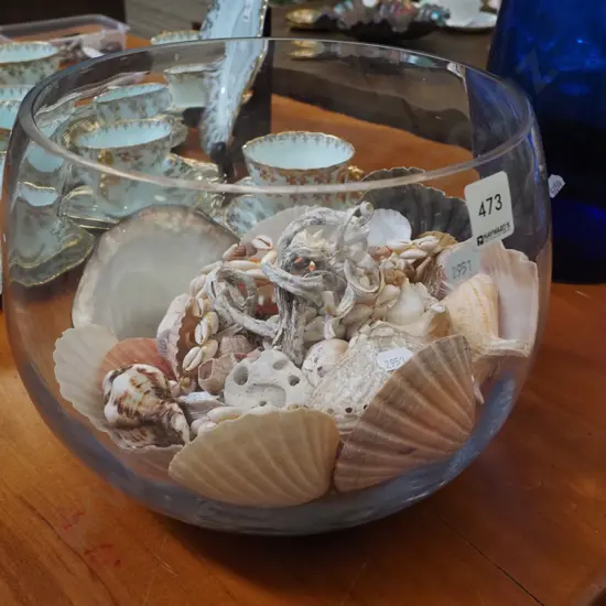 glass bowl, seashells