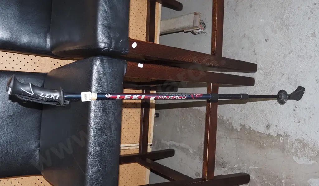 Leki tramping stick Image 1++
