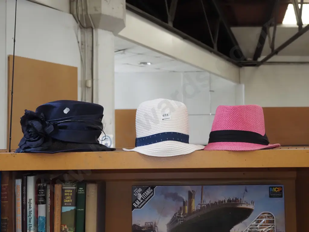 3x ladies hats Image 1++