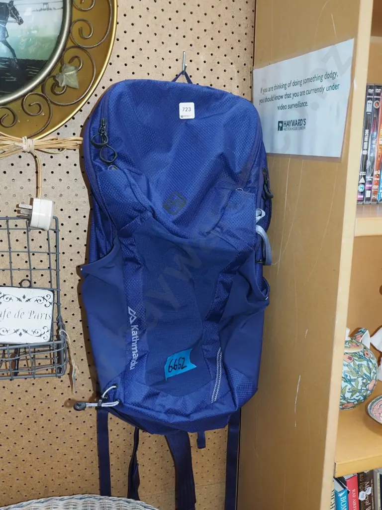 purple Kathmandu backpack Image 1++