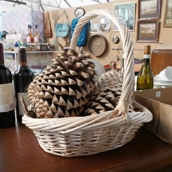 cane basket, giant pine cones