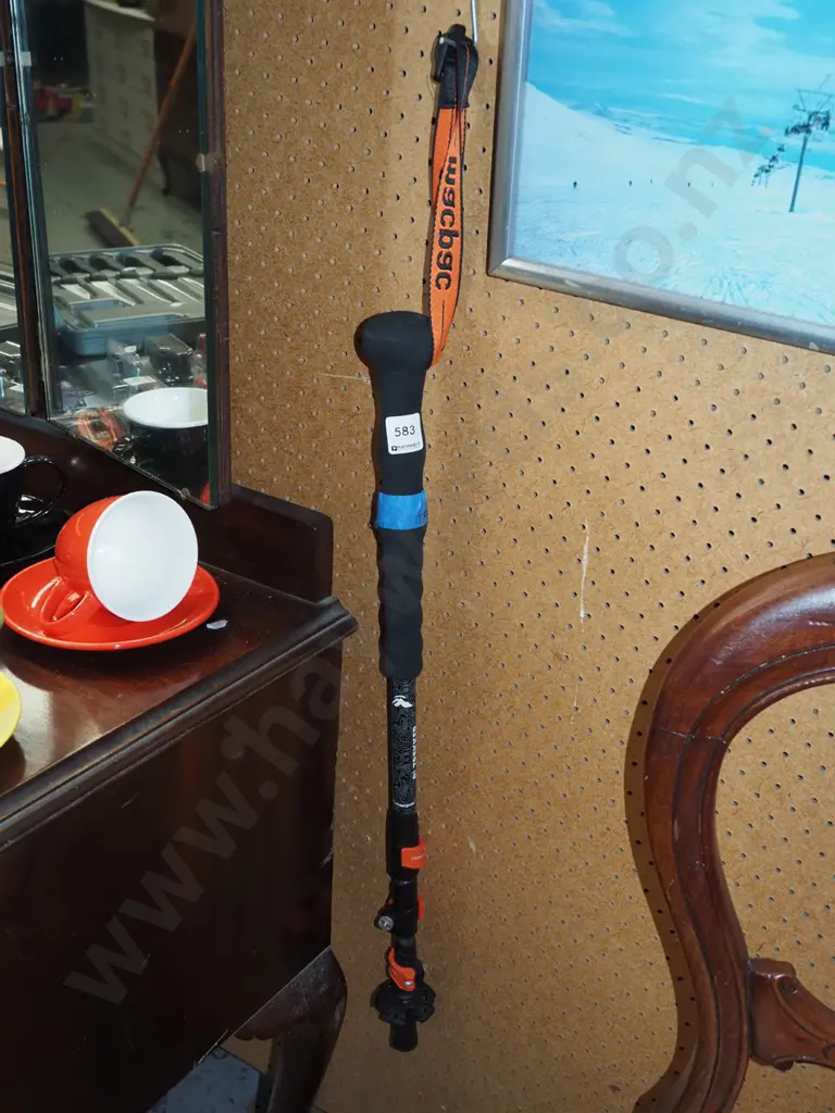 Trekker walking stick and photography mono pod Image 1++