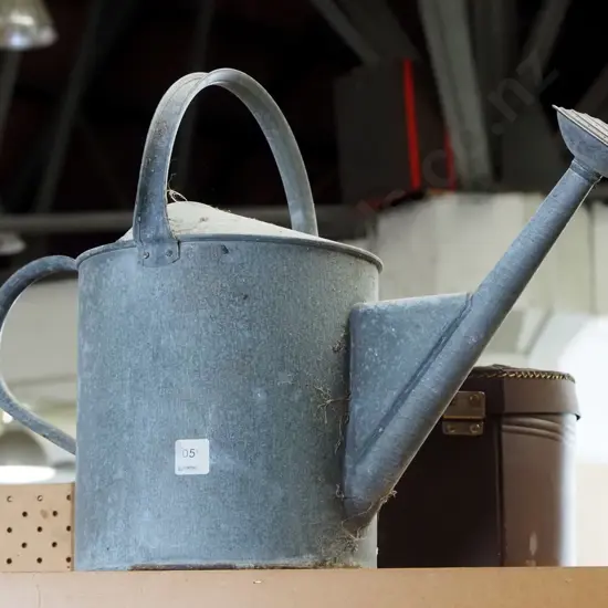 galvanised watering can