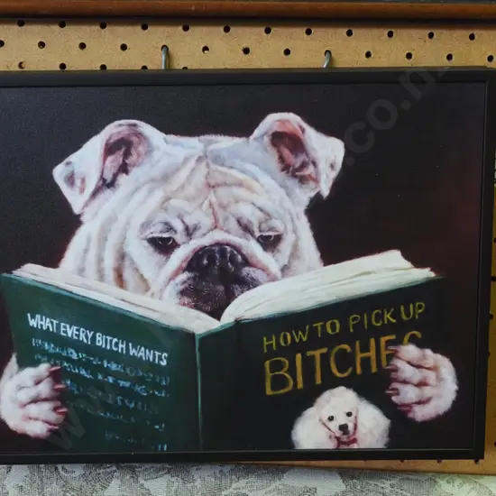 framed novelty dog print
