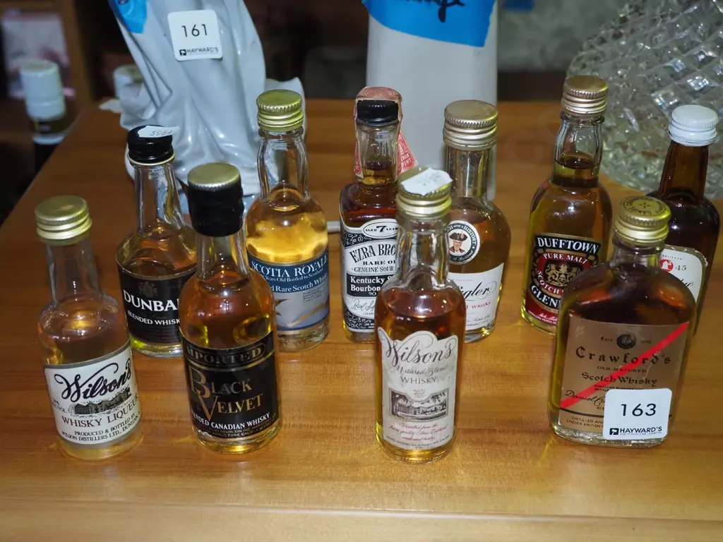 10x whisky spirit miniaturesa Image 1++