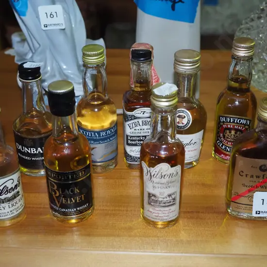 10x whisky spirit miniaturesa