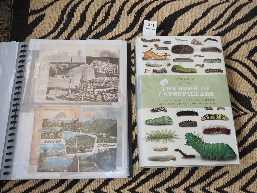 caterpillar book, folder of postcards, prints etc Image 1++