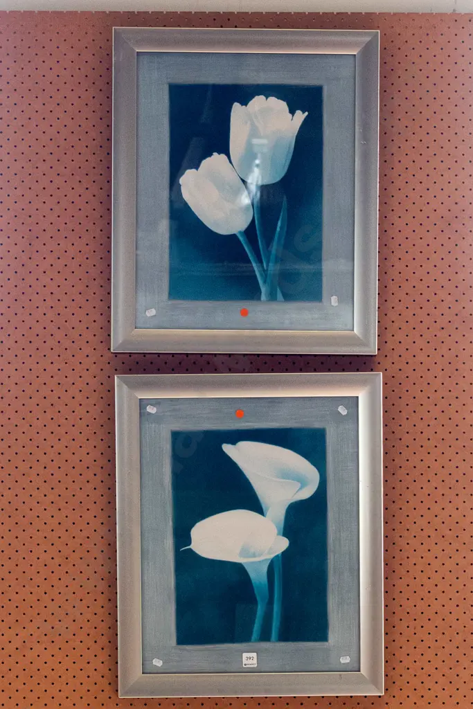 2x botanical prints Image 1++