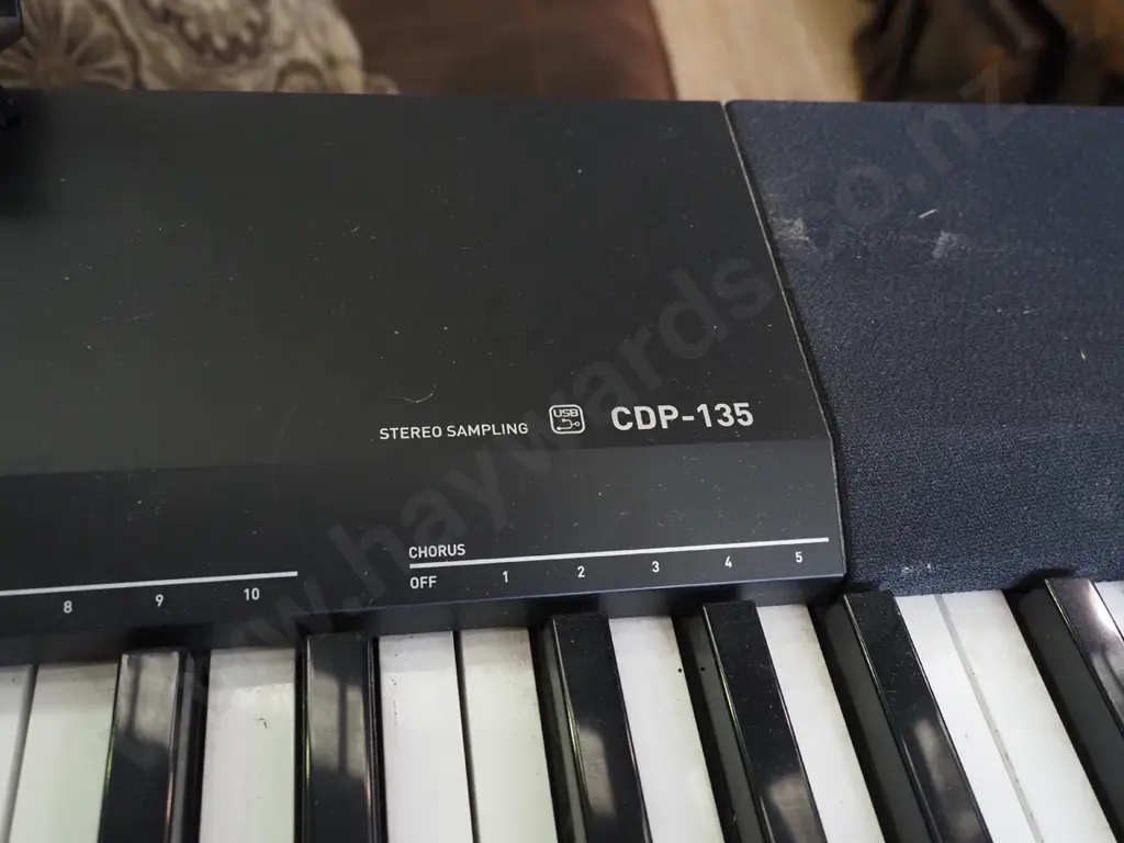 Casio CDP-135 keyboard Image 1++