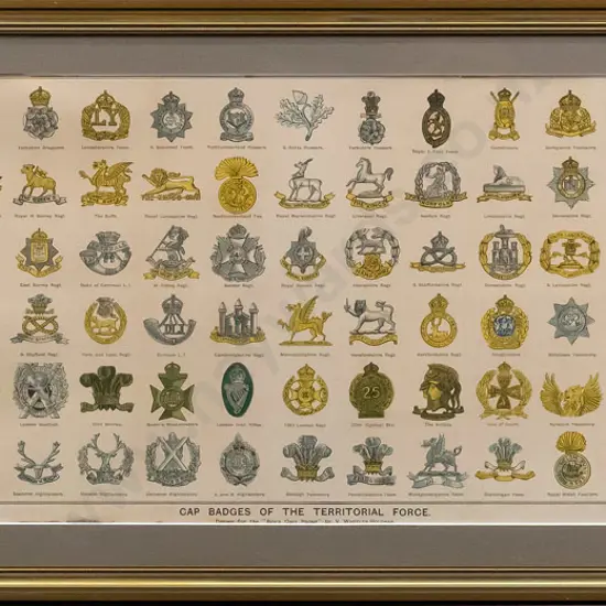 framed print - Cap Badges of the Territorial Forces  H-270 W-870