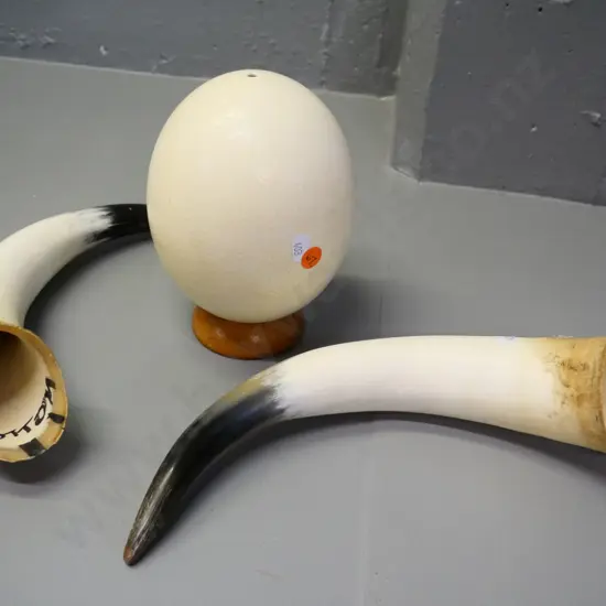 ostrich egg and a pair of animal horns, each L-300 (wooden stand not included)