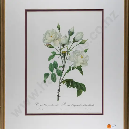 gilt framed print - roses H-350 W-260