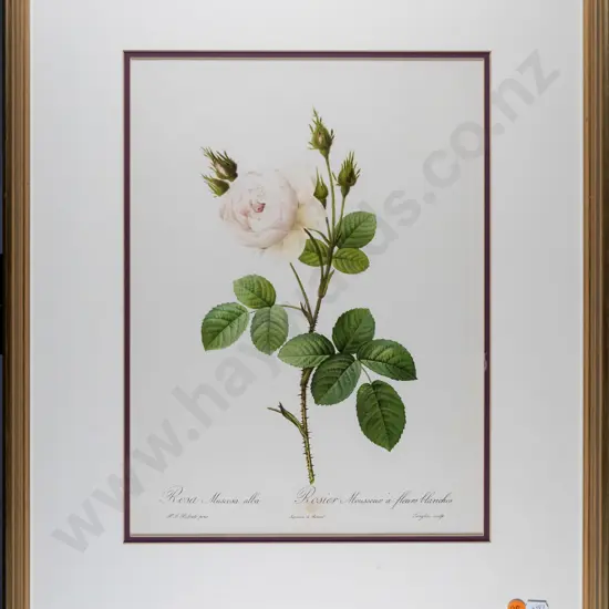 gilt framed print - roses H-350 W-260 (slight foxing)
