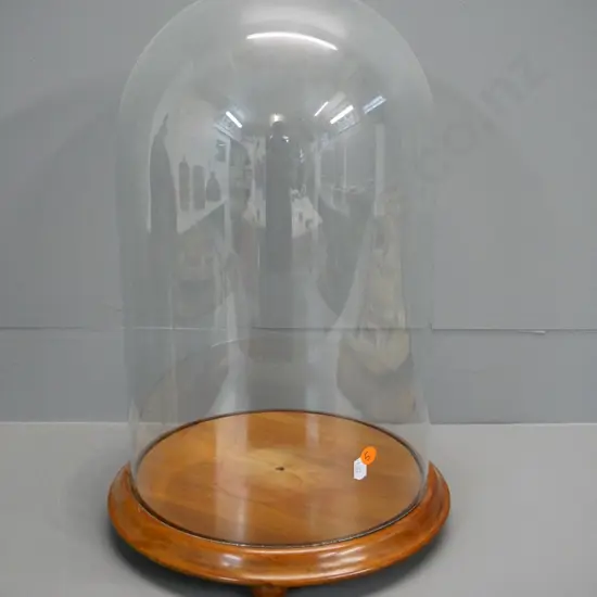 large glass display dome on turned wooden base H-470 Diameter 300 at base