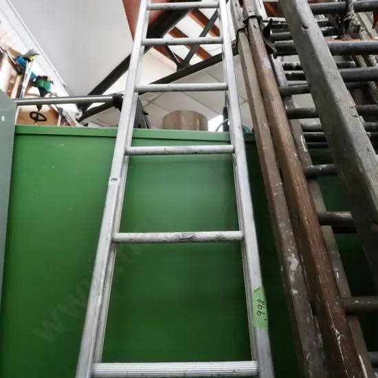 10-step aluminium rung ladder