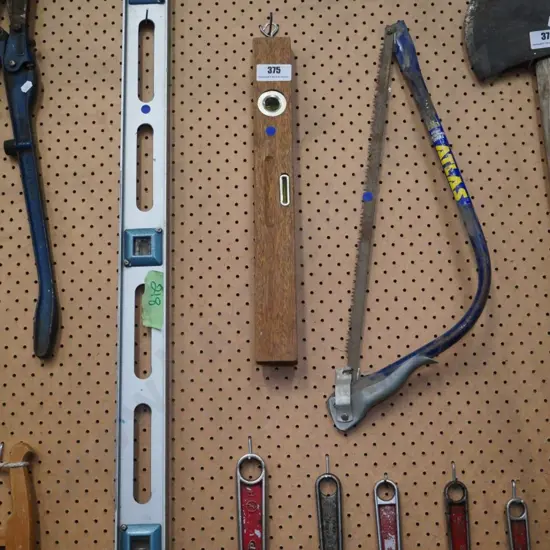 pruning saw and 2 levels - blue dots