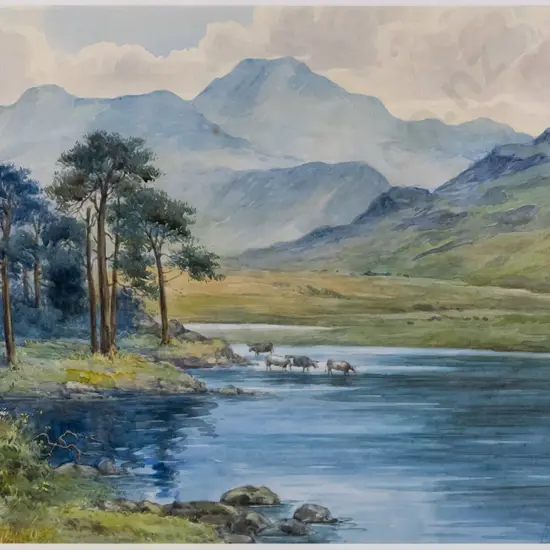 illegible signature - framed watercolour - cattle at lake H-245 W-340