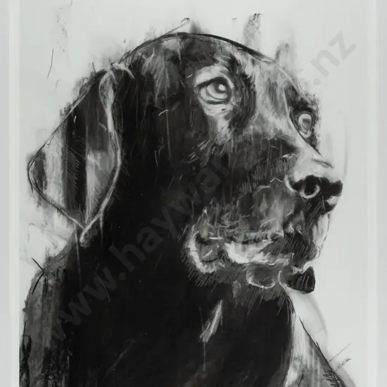 Jon Thom 2014 - framed limited edition print 2/10 - dog H-380 W-270