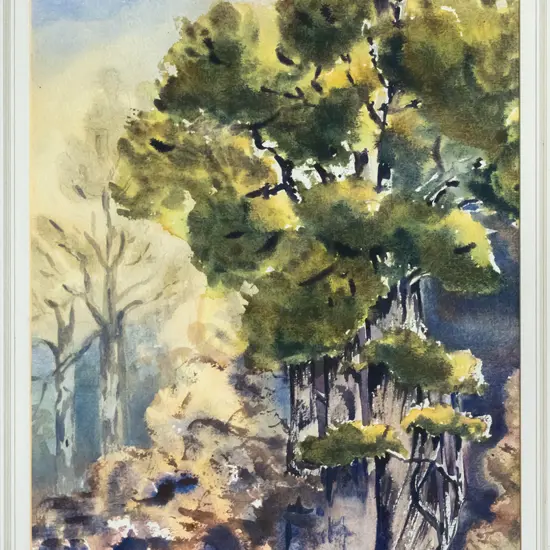 Brenda Shore '85 - framed watercolour - "Matai, Peel Forest" H-500 W-320