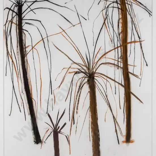 Wallace Crossman March 2011 - framed pastel - "Ponga Ponga Ponga Ponga" H-720 W-490