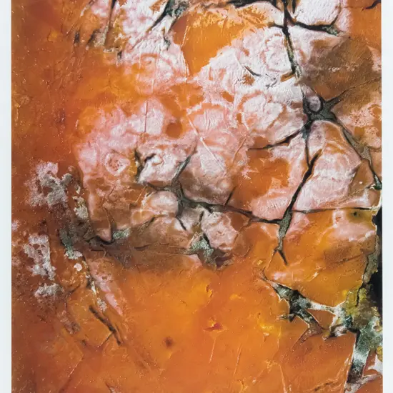 framed Matheson Beaumont photograph - abstract H-410 W-275