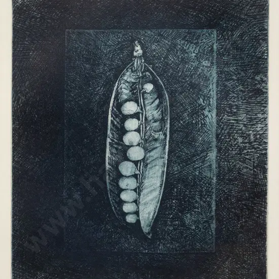 Shona Mcfarlane '80 - framed etching 6/20 - "Pea" H-225 W-200