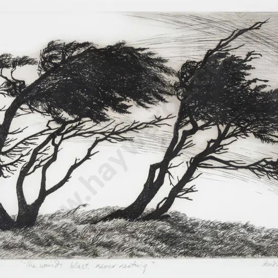 Audrey Bascand - framed etching No. 3/20 - The Wind's Blast Never Resting. H-210 W-320