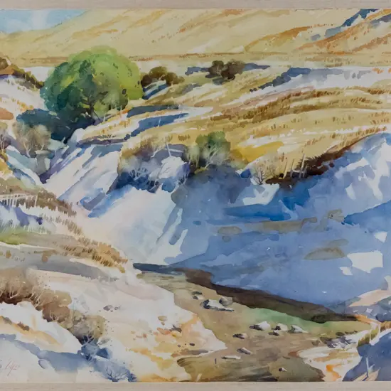 Charlton Edgar - framed watercolour - Central Otago landscape H-270 W-360