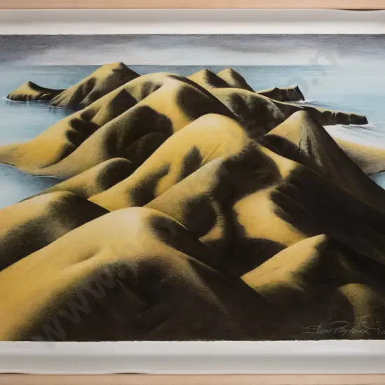 Steev Peyroux '10 - framed pastel - Otago peninsula  H-550 W-750 (frame needs attention)