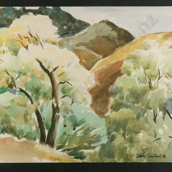 Ineke Crawford '88 - framed watercolour - "Botanical Garden Dunedin" H-240 W-345