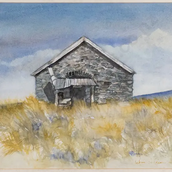Robin Green - framed watercolour - Otago Heritage H-220 W-240