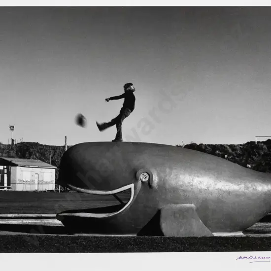 Matheson Beaumont circa 1970 - framed black & white photograph - "Marlow Park Whale" H-230 W-330