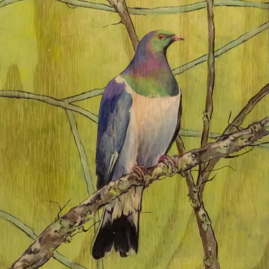 Elizabeth Jenkins - print on wood - kereru H-300 W-210