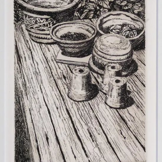 Audrey Bascand - framed etching 6/40 - Flower Pots H-130 W-100