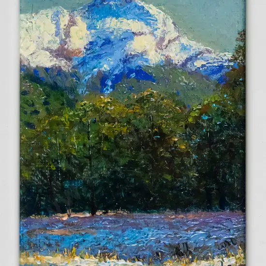 Terry Perham '06 - framed oil on canvas - "Mt Nox - Dart Valley" H-130 W-80