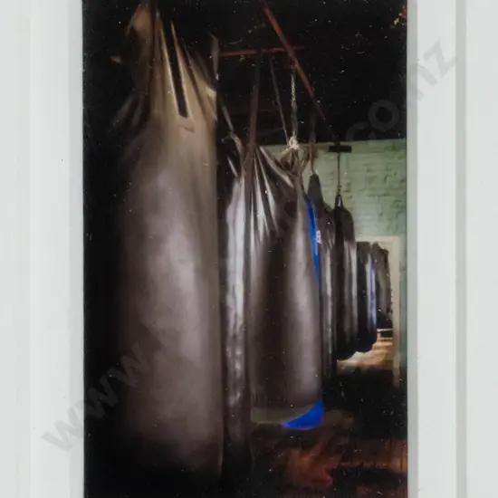 Lindsay McLeod - framed photograph -"Gym Series" H-50 W-30