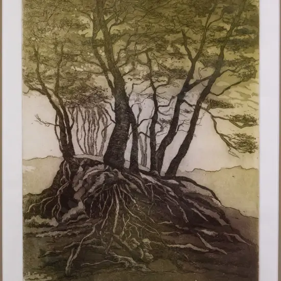 Joan Hardey - framed  etching 3/20 - "Roots" H-320 W-240