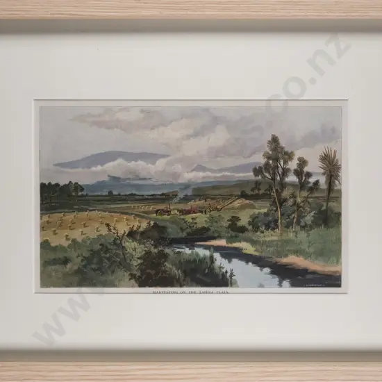 framed vintage hand coloured engraving - Harvesting on the Taieri Plain H-160 W-250