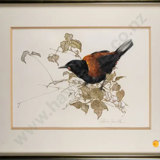Catherine Hamilton - framed watercolour and ink - North Island Saddleback H-225 W-310