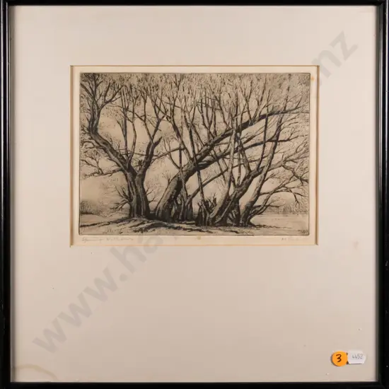 A McClintock - framed etching - Spring Willows H-150 W-210