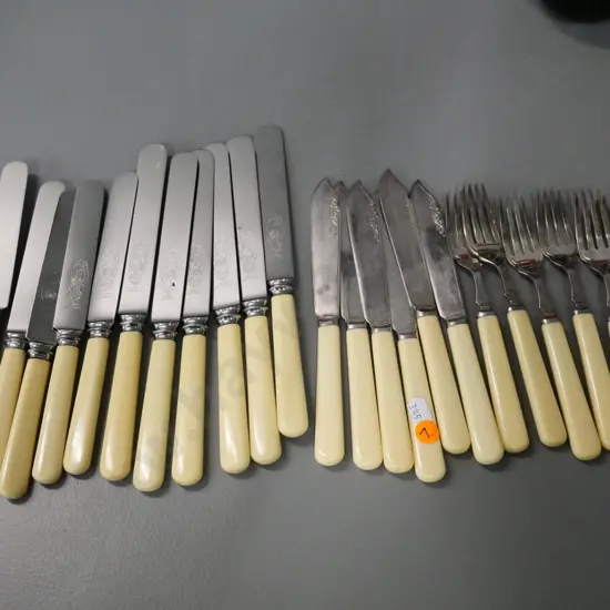 English bone-handled cutlery - 6 place fish knives and forks and 6 place dinner and smaller knives