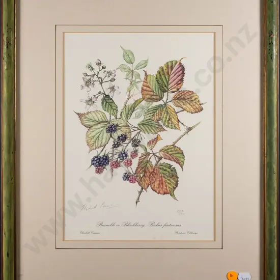 framed signed Elizabeth Cameron botanical print  - Blackberry H-280 W-210